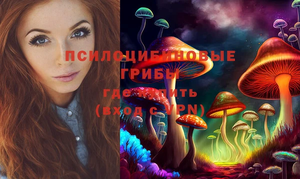 МДМА Дмитровск