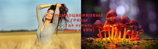 тгк Дмитров