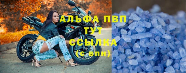СК Дмитриев