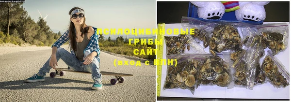 тгк Дмитров