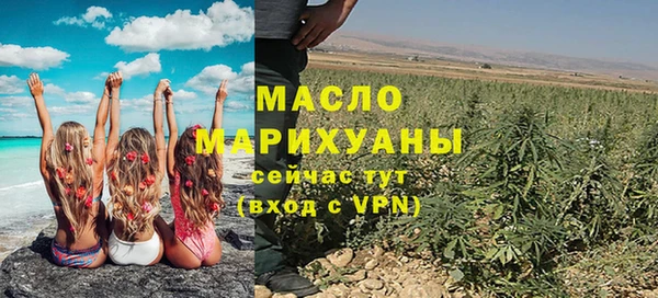 тгк Дмитров