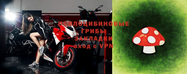 тгк Дмитров