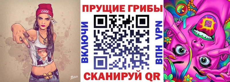 Псилоцибиновые грибы Cubensis  купить наркотик  нарко площадка формула  Балашиха 